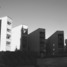 New Development