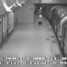 Paranoia of a London Attache Case (v)