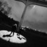 Searchlight (v)