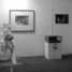 Art 2003