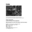 Bearing witness: the role of war artists in the 21st century