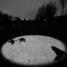 Searchlight