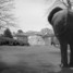Tatton Park Biennial